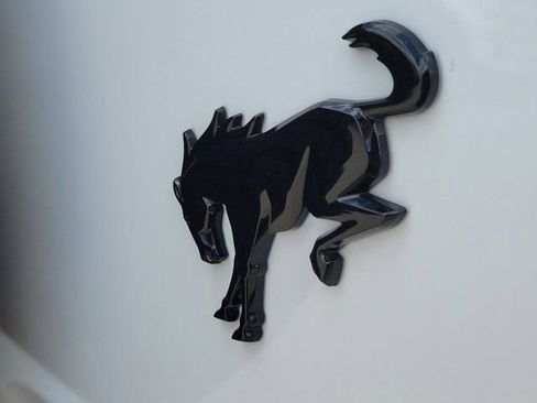 Certified 2024 Ford Bronco Wildtrak AWD/4WD image 12