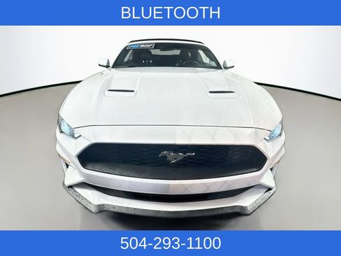 Used 2019 Ford Mustang Premium w/ Equipment Group 201A RWD image 3