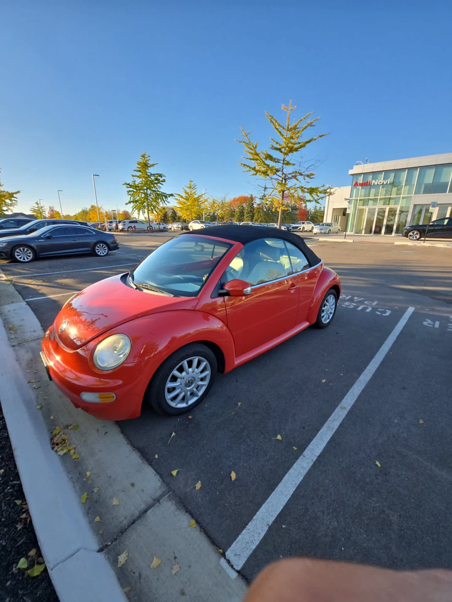 Used 2005 Volkswagen Beetle GLS FWD image 3