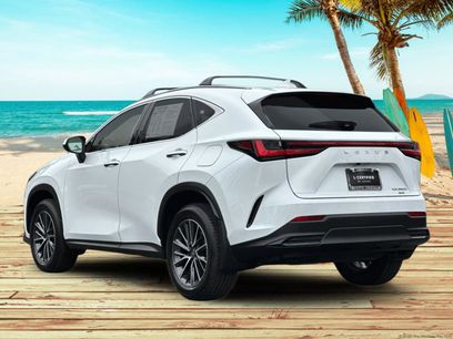 Used 2026 Lexus NX 350h AWD w/ Accessory Package (2T)