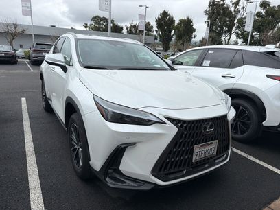 Used 2025 Lexus NX 350h AWD w/ Cold Area Package