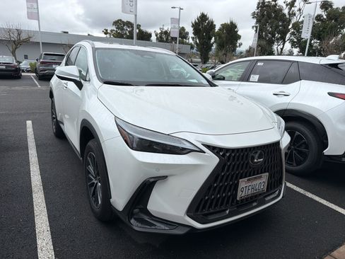 Used 2025 Lexus NX 350h AWD w/ Cold Area Package image 1