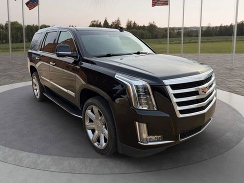 Used 2019 Cadillac Escalade Luxury image 1