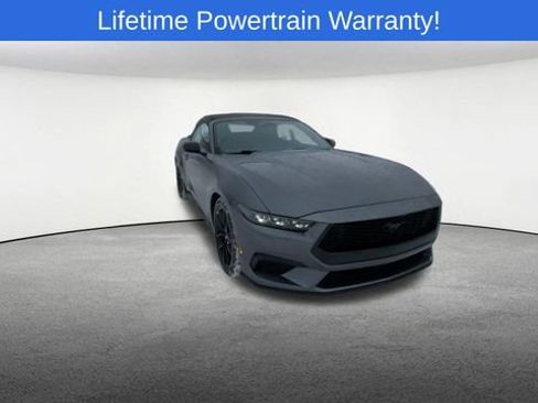 New 2026 Ford Mustang Premium w/ Mustang Nite Pony Package RWD image 2