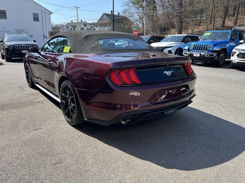 Used 2018 Ford Mustang Convertible w/ Ecoboost Performance Package image 9