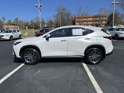 Certified 2025 Lexus NX 350 350 Base w/ Cold Area Package image 6