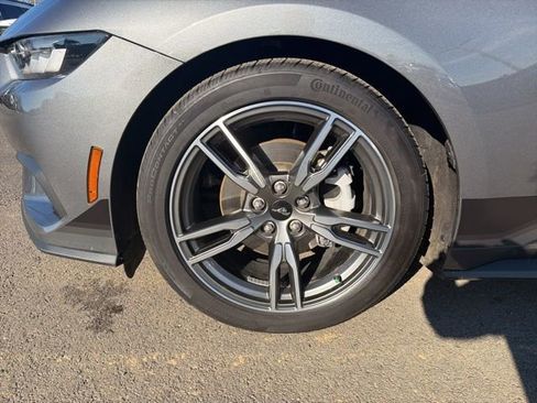 Used 2025 Ford Mustang Premium w/ Wheel & Stripe Package image 6