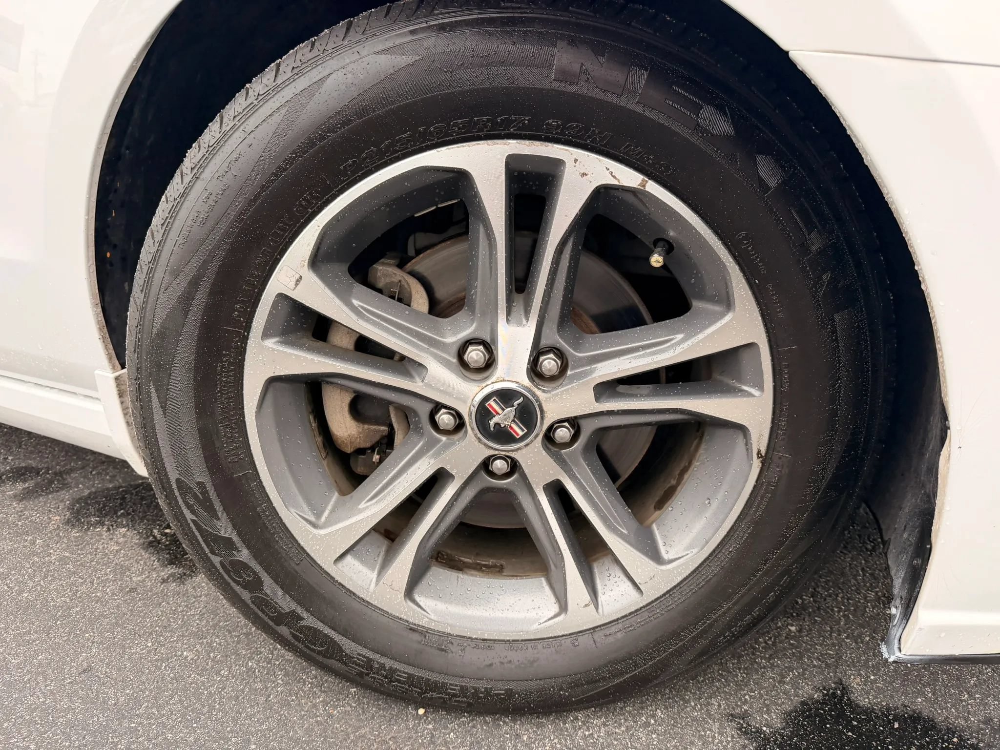 Used 2014 Ford Mustang Premium RWD image 37