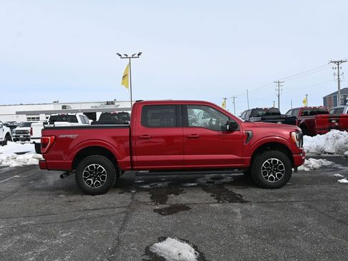 Used 2021 Ford F150 XLT w/ Equipment Group 302A High image 12