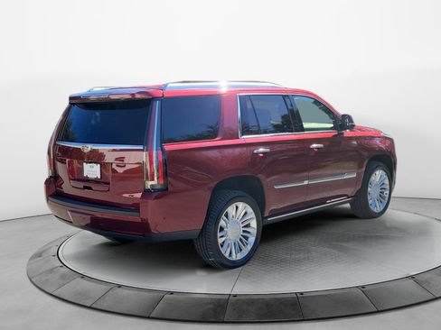Used 2019 Cadillac Escalade Platinum AWD/4WD image 7
