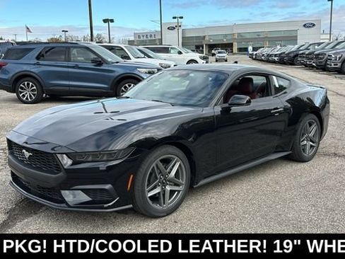 New 2026 Ford Mustang Premium RWD image 3