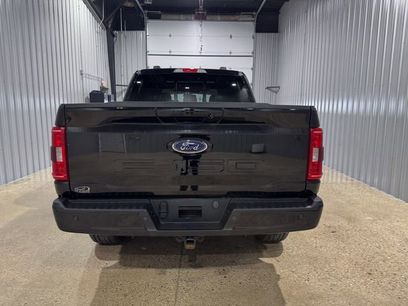 Used 2023 Ford F150 XLT w/ Equipment Group 302A High