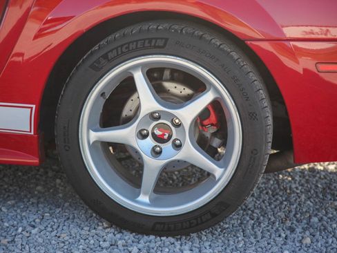 Used 1999 Ford Mustang Cobra RWD image 11