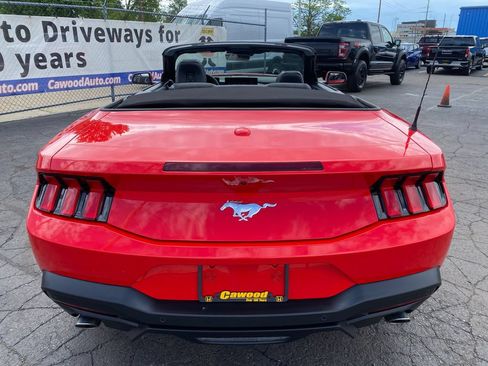 Used 2026 Ford Mustang Convertible RWD image 3