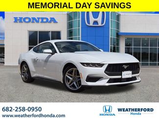 Used 2024 Ford Mustang Premium RWD video 1