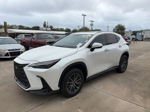 Used 2024 Lexus NX 250 250 Premium image 7