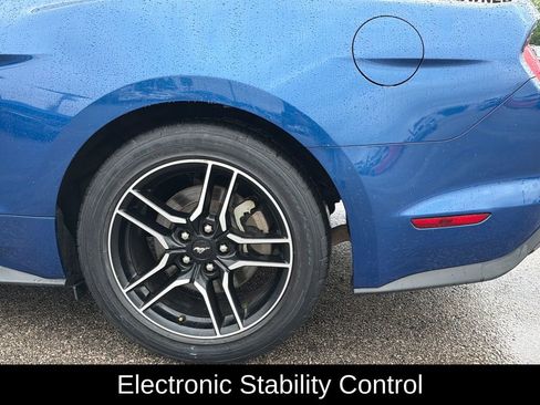 Used 2022 Ford Mustang Coupe w/ Equipment Group 101A RWD image 5