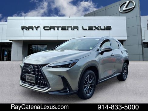 Certified 2023 Lexus NX 350 AWD image 1