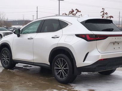 Used 2024 Lexus NX 350 AWD