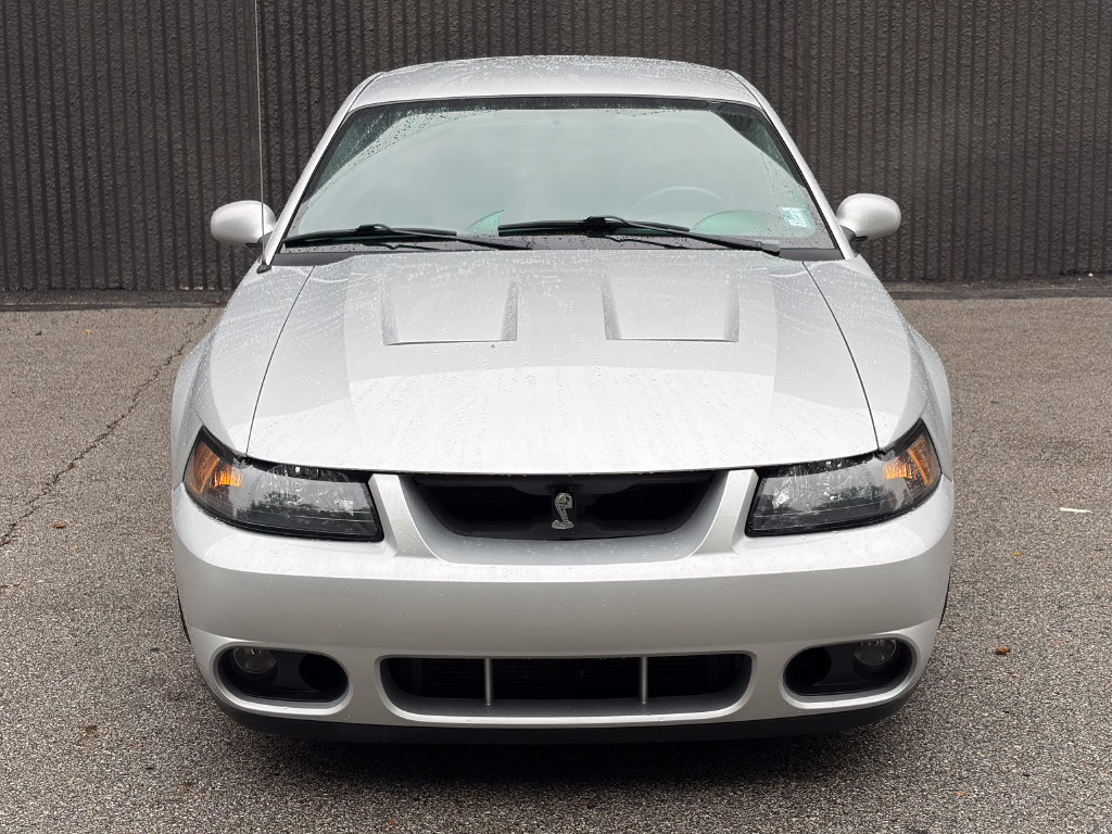 Used 2004 Ford Mustang Cobra RWD image 3