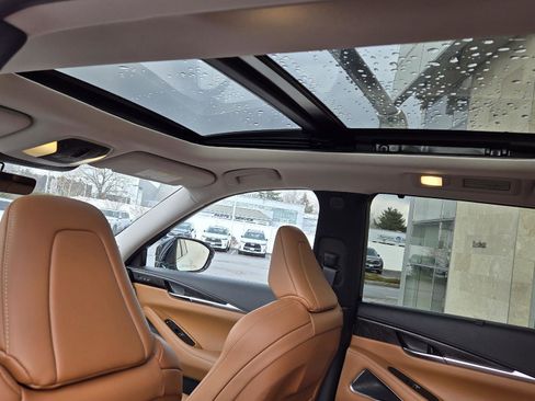 Certified 2023 INFINITI QX60 Sensory w/ Cargo Package image 11