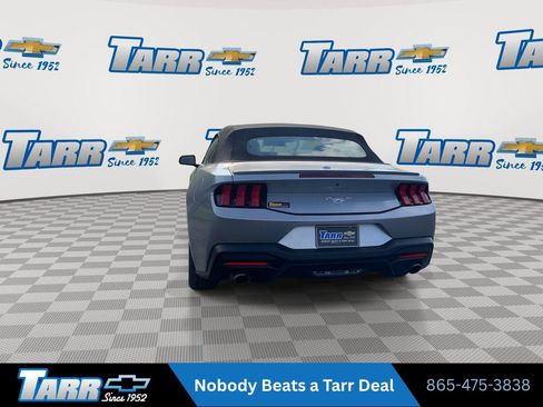 Used 2025 Ford Mustang Premium RWD image 7