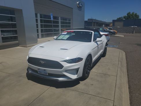 Used 2023 Ford Mustang Premium image 1