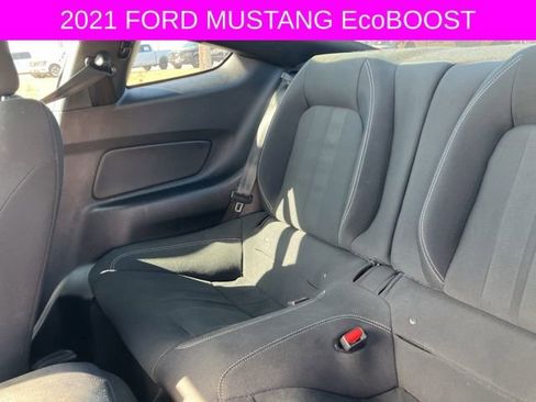 Used 2021 Ford Mustang Coupe w/ Equipment Group 101A image 15