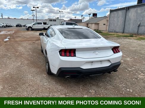 Used 2024 Ford Mustang Coupe RWD image 4