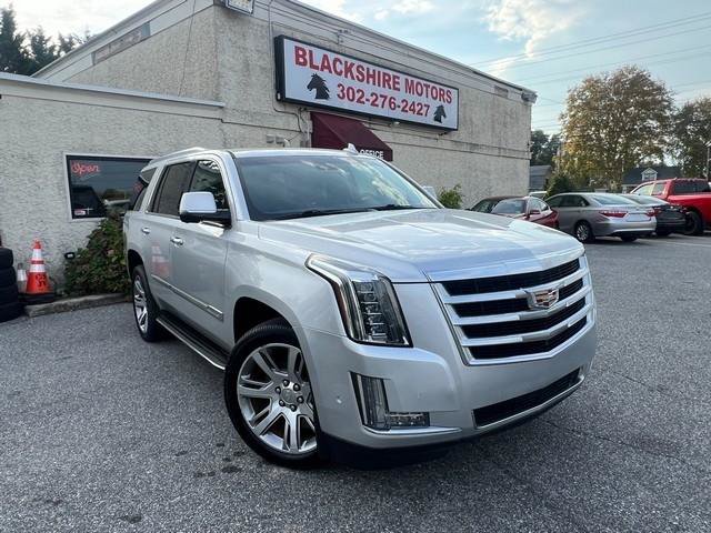 Used 2019 Cadillac Escalade Luxury AWD/4WD image 1