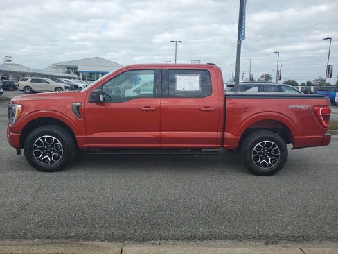 Used 2023 Ford F150 XLT w/ Equipment Group 302A High image 2