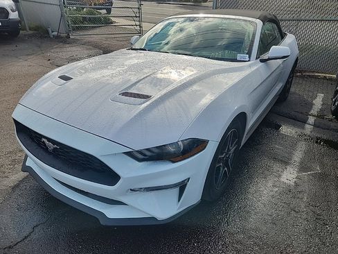 Used 2019 Ford Mustang Premium image 3