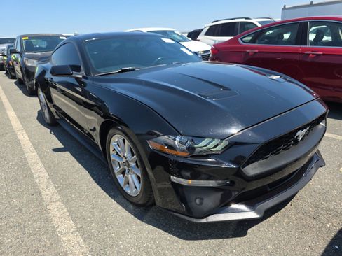 Used 2019 Ford Mustang Coupe RWD image 4