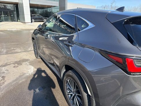 Certified 2024 Lexus NX 350h 350h w/ Cold Area Package image 8