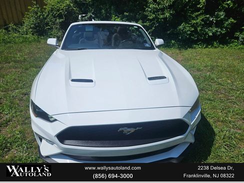 Used 2019 Ford Mustang Convertible image 8