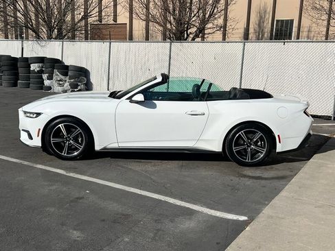 Used 2024 Ford Mustang Premium image 4