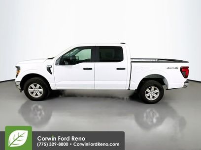 New 2024 Ford F150 XL w/ Equipment Group 103A High