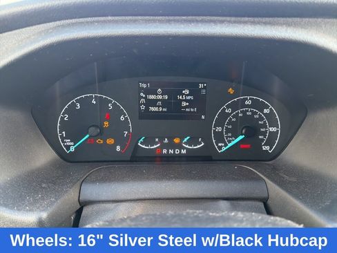 Used 2020 Ford Transit 250 Low Roof w/ Load Area Protection Package RWD image 14
