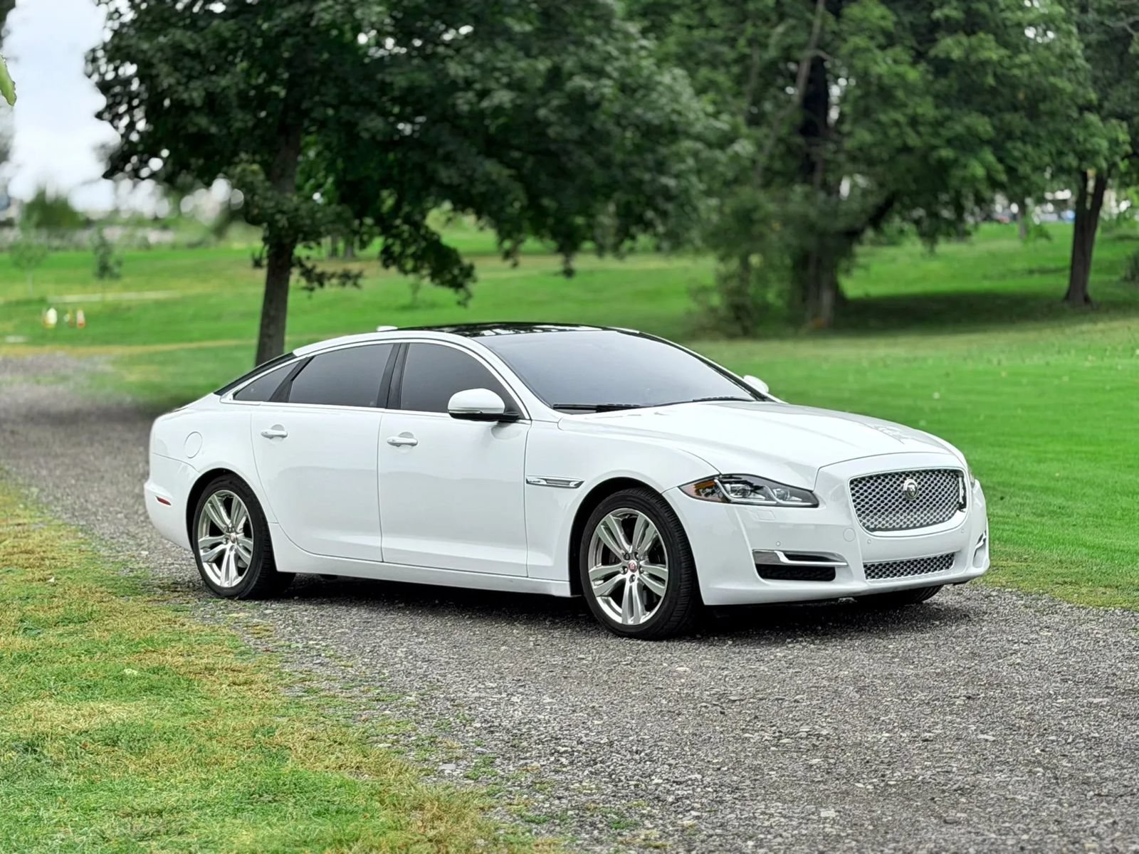 Used 2017 Jaguar XJ L Portfolio AWD/4WD image 6