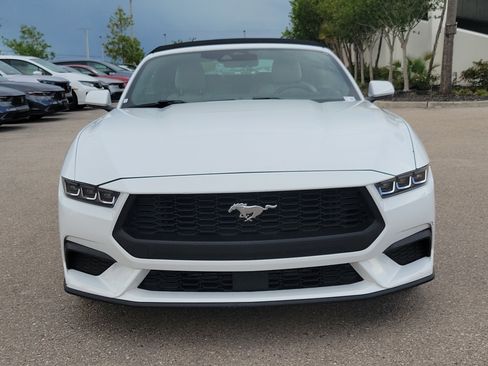 Used 2024 Ford Mustang Premium RWD image 2