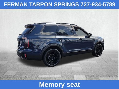 Used 2025 Kia Telluride SX Prestige X-Line AWD/4WD image 10