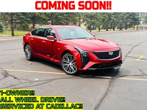 Used 2025 Cadillac CT5 Premium Luxury w/ Sun And Sound Package AWD/4WD image 1