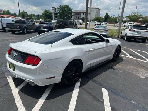 Used 2016 Ford Mustang Coupe w/ Equipment Group 051A RWD image 4