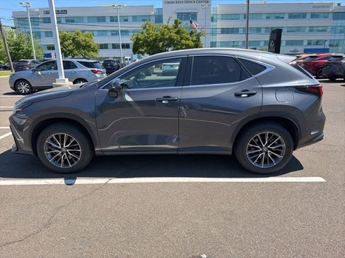 Used 2025 Lexus NX 350 AWD w/ Cold Area Package image 8