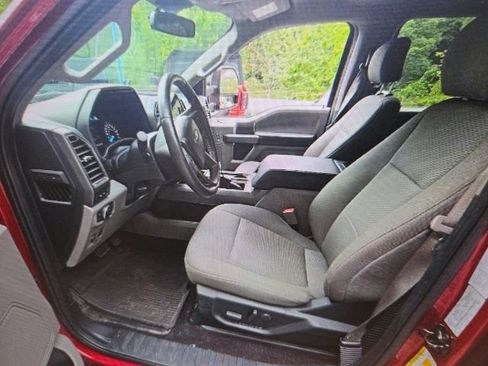 Used 2019 Ford F150 XLT w/ Equipment Group 302A Luxury AWD/4WD image 5