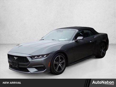 Used 2024 Ford Mustang Premium image 1