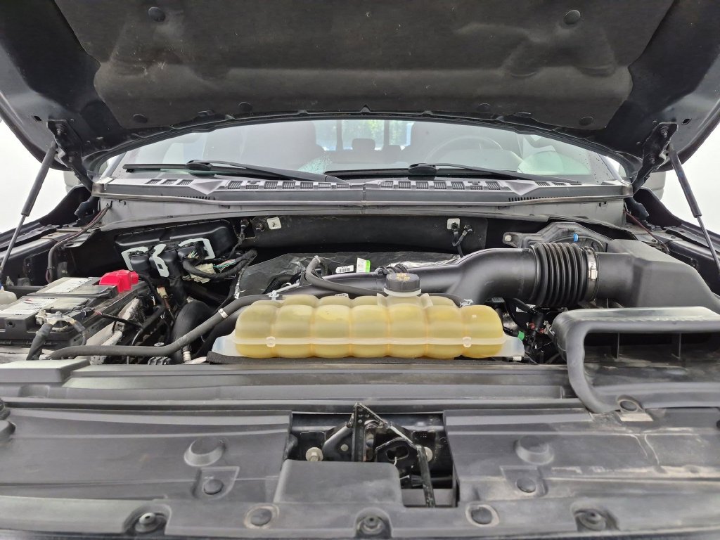 Used 2019 Ford F150 XLT w/ Equipment Group 302A Luxury AWD/4WD image 40