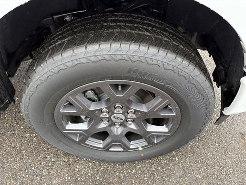 New 2026 Ford F150 STX w/ Equipment Group 200A image 13