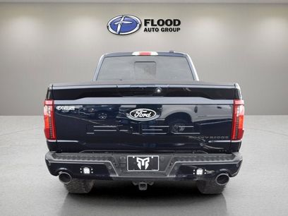 New 2025 Ford F150 XLT w/ Equipment Group 303A High