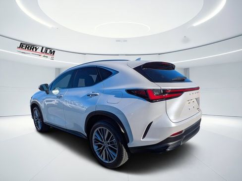 Used 2025 Lexus NX 350 AWD w/ Cold Area Package image 5